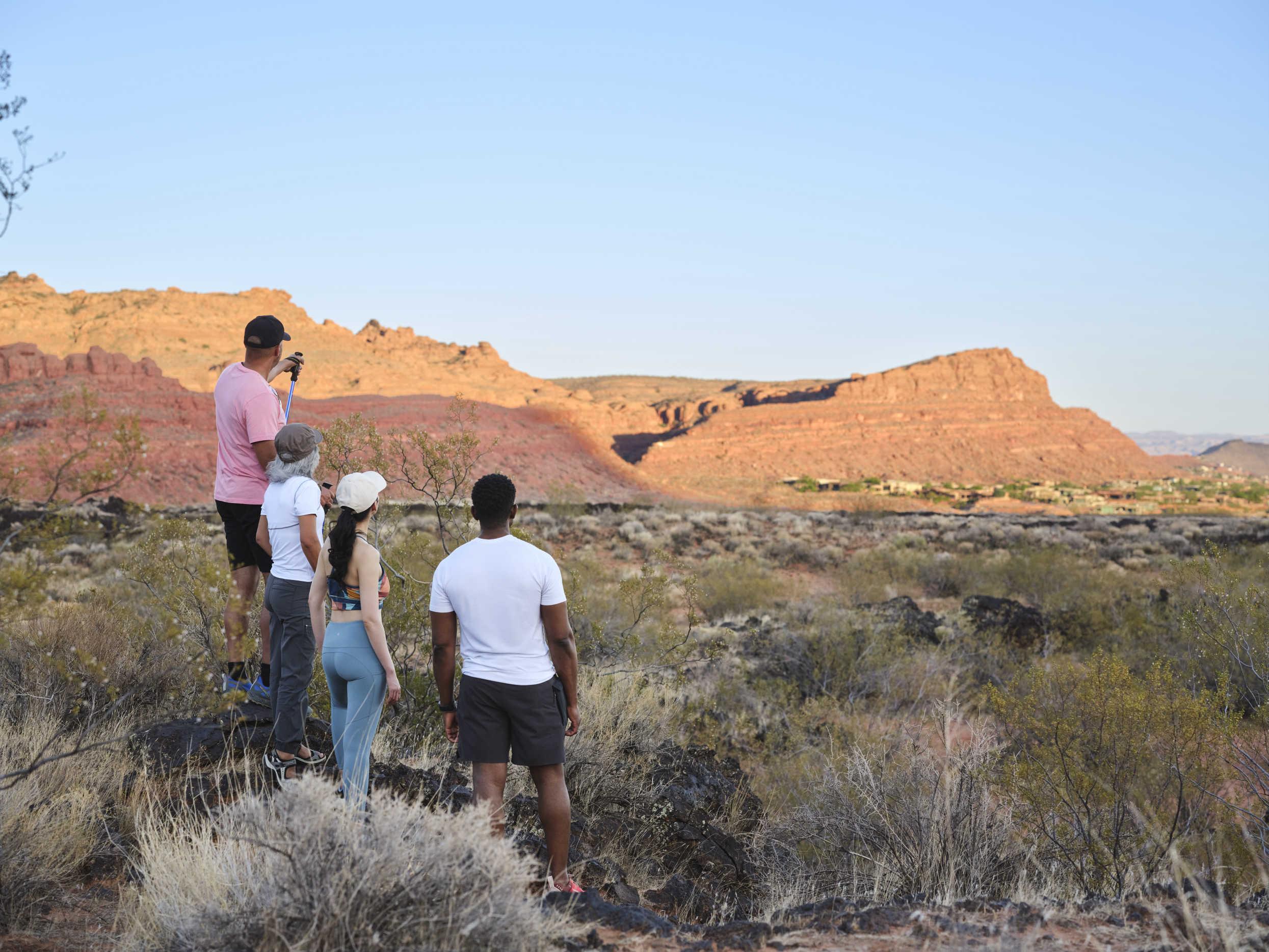 Group of Four Hiking
