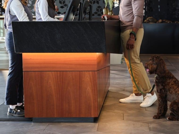 cropped- dog at check in